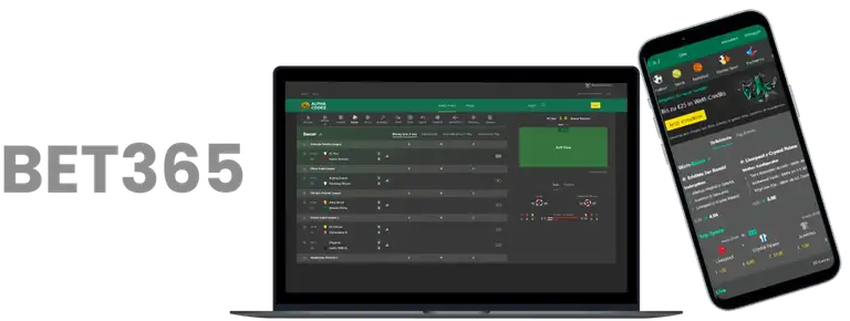世预赛杭州,大莲花,观赛攻略,永利皇宫app,永利皇宫app官网,H5永利皇宫app官网,永利皇宫app官网玩家首选